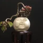 cobito123の画像