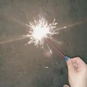 ねこの画像