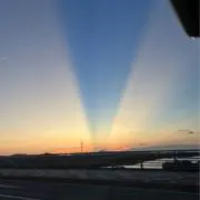 みんみん