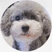 はるはるの画像