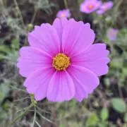 ニコニコ☺︎の画像