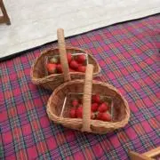 むさしの画像