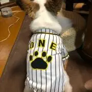 ひろぽん