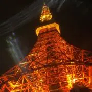 ジンジャープロフ必読