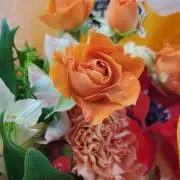 Tmkの画像
