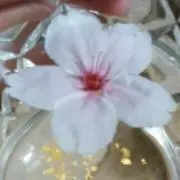 ミーコ