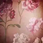 flowerの画像