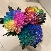 greenの画像