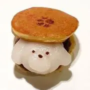 わんこの画像