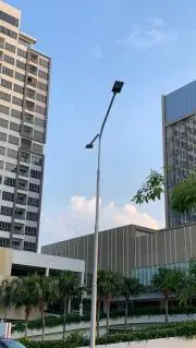 ベルディ