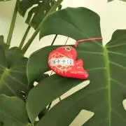 きよみの画像