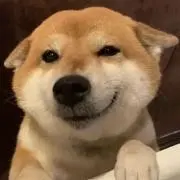 てんてんの画像