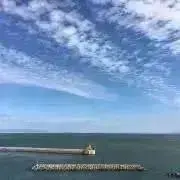 グラットの画像