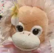 しおんの画像