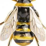 黒蜂BEEの画像