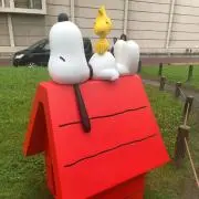 yoshi59の画像