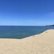 たかの画像