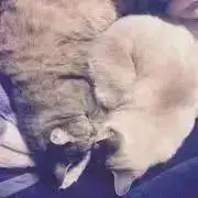 いろ