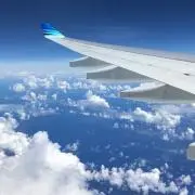 ぷぅの画像