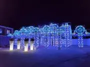 Noirの画像
