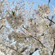 れいなの画像
