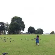 ひーこ♪の画像