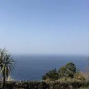 ベビーの画像