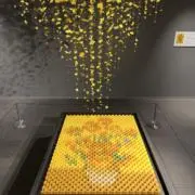 ちゃん★の画像
