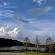 ともの画像