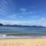 りずさく