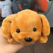 チャ