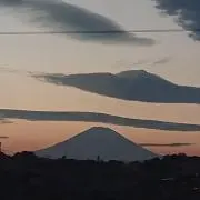 ともじの画像