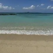 しーの画像