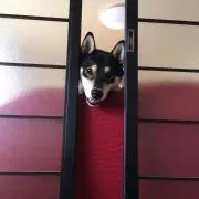 ソラ坊の画像
