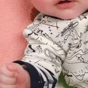 ポンドルの画像