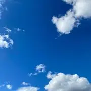 侘助