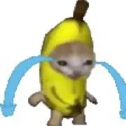 2237816844