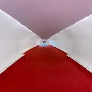 た