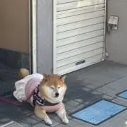 ワリオ