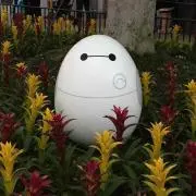 べいさんの画像