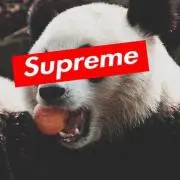 Uの画像