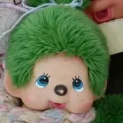 バンちゃんの画像