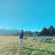 りの画像