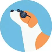 Amateurの画像