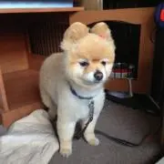 katsumi