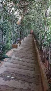 YAの画像