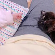 アイスの画像