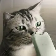 Yukoの画像