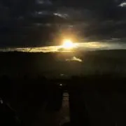 ツ