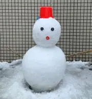 rsxの画像
